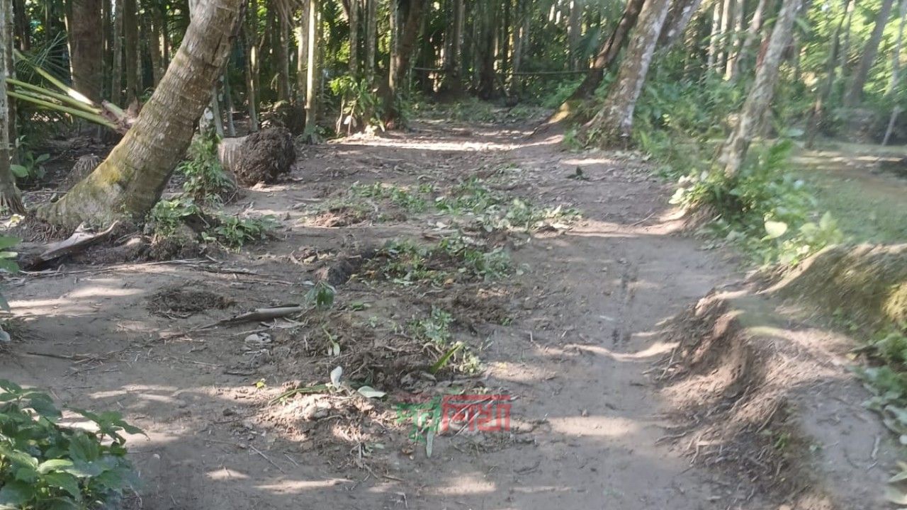  গাছ লাগিয়ে রাস্তা বন্ধ - আড়াই মাস পর রাস্তা চলাচলের উপযোগী করে দিয়েছেন - উপজেলা প্রশাসন 